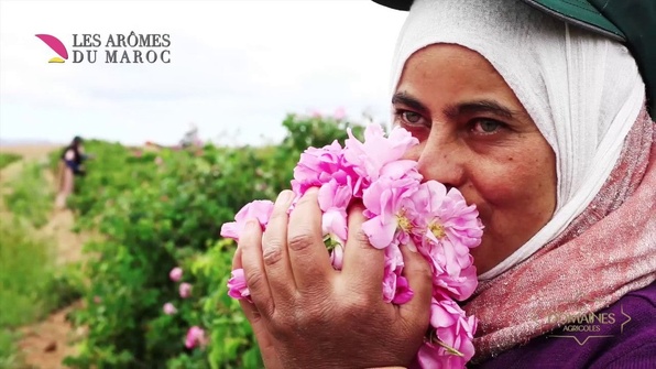 Communiqué : La marque marocaine Tiyya du Groupe « Les arômes du Maroc » fait son entrée officielle en Mauritanie