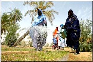  Accord mauritano-marocain dans le domaine de l’agriculture et les oasis