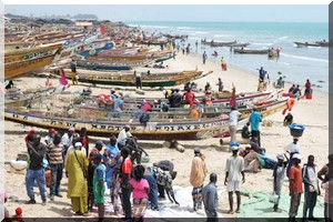 Le poisson devient cher en Mauritanie après la suspension des pêcheurs sénégalais 