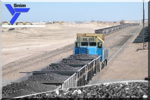 Solidarité avec les employés grévistes au sein de la Société Nationale Industrielle et Minière (SNIM)