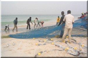 Stratégie des pêches: un bilan d'étape jugé positif
