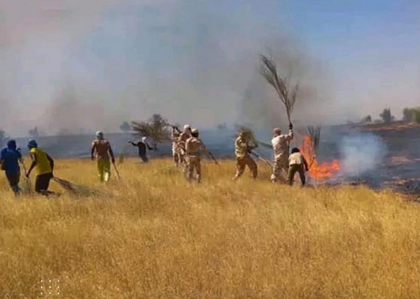 Le bataillon mauritanien du G5 Sahel maîtrise un vaste incendie dans le sud-est du pays
