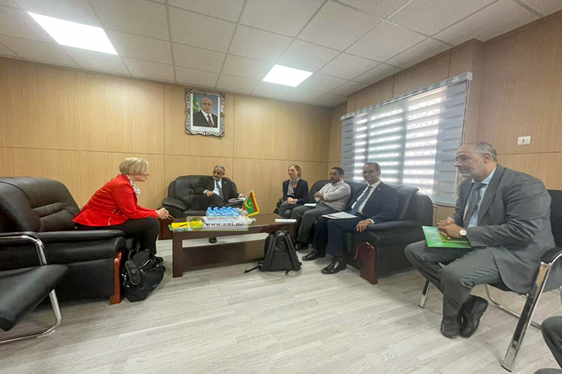 Mauritanie : 14 milliards MRO pour faciliter l’accès des jeunes à l’emploi
