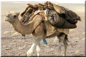 Figures Historiques : L’« émir de la paix » : Aḥmed uld M’Ḥammed (1872-1891) -2éme partie