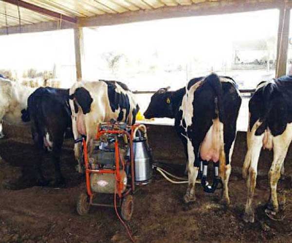 Le ministère de l’Elevage annonce la mise en place d'un mécanisme de financement de projets