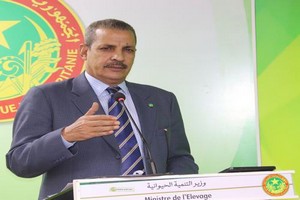 «Un plan de soutien du secteur de l’élevage pour faire face au déficit pluviométrique» (Ministre de l’Elevage) 