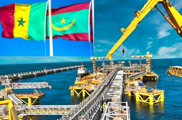 Grand Tortue Ahmeyim : 8 à 9 cargaisons de gaz attendues au 2e trimestre 2026