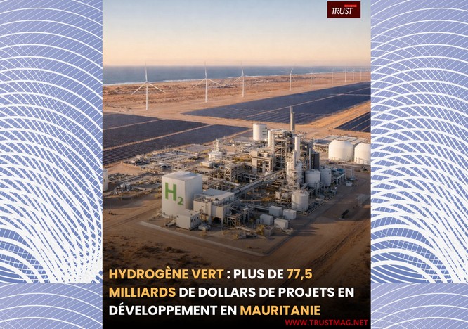 Hydrogène vert : plus de 77,5 milliards de dollars de projets en développement en Mauritanie
