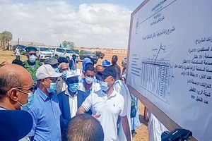 Assaba : aménagement de 250 ha pour la culture du palmier dattier et le maraîchage