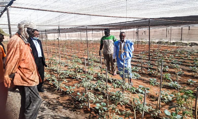 Signature d’un accord permettant aux diplômés chômeurs d’exploiter des périmètres agricoles à M’Pourié