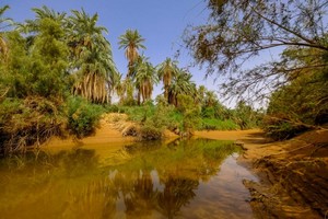 Agriculteurs de l’Adrar : le crédit « projet oasis » n’est octroyé qu’aux riches et influents