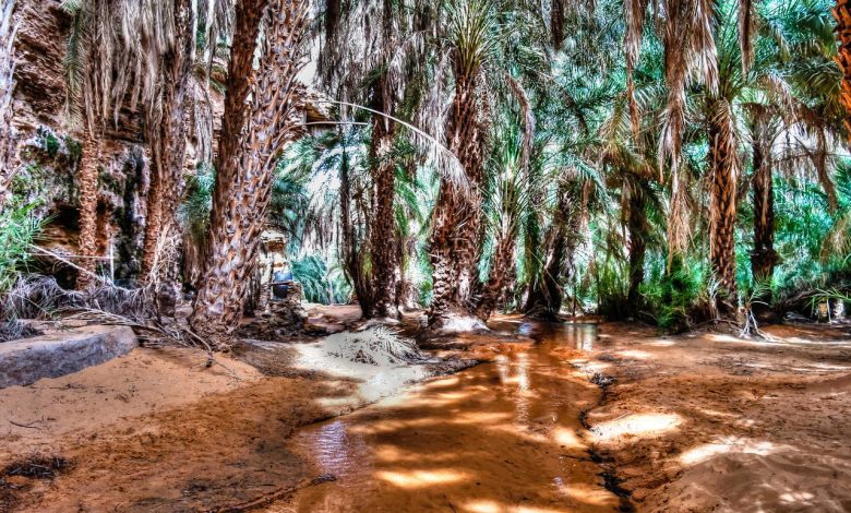 Accès à l’eau dans les régions oasiennes : le financement additionnel du FADES passe devant l’AN