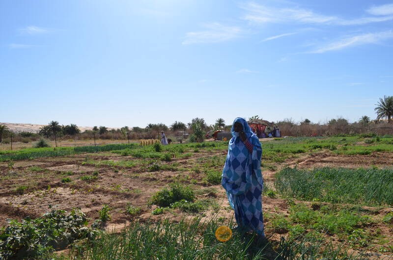 En Mauritanie, une oasis d’égalité et de partage
