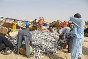 Mauritanie ● 