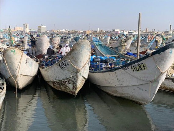 Mauritanie : ouverture d’une enquête pour évaluer les opportunités d’emplois offertes dans le secteur de la pêche