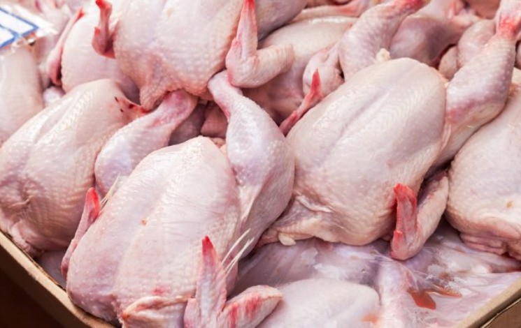 La Mauritanie impose une interdiction d’importation de poulet en provenance du Brésil