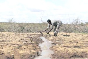 Prévisions: Le CILSS annonce une saison des pluies 2020 humide dans le sahel