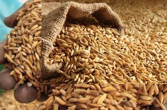 La Mauritanie sécurise son stock de blé