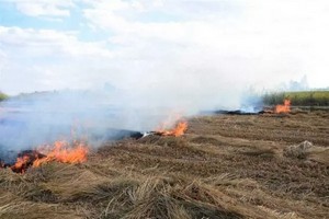 De vastes zones pastorales détruites par les incendies près de Bassiknou